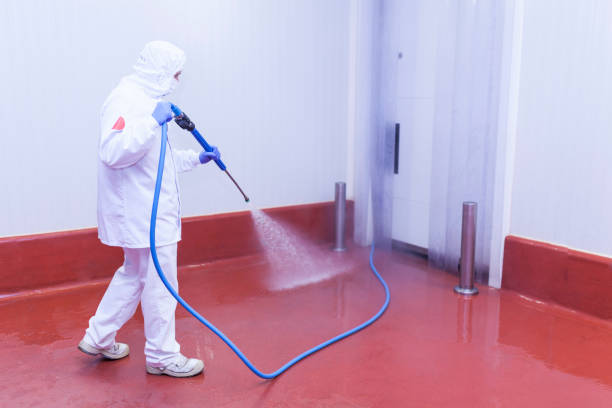 Pre-Holiday Cleaning in Whittingham, NJ