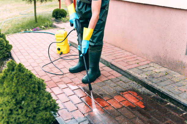 Best House Exterior Washing  in Whittingham, NJ